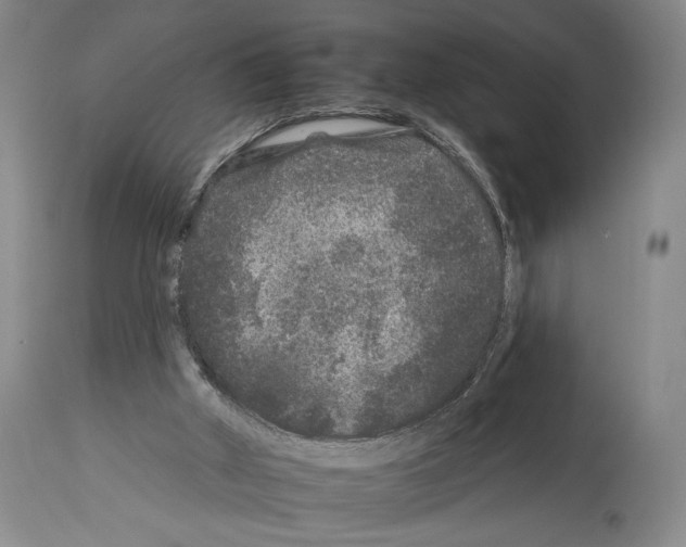 X0000112930010200910051142