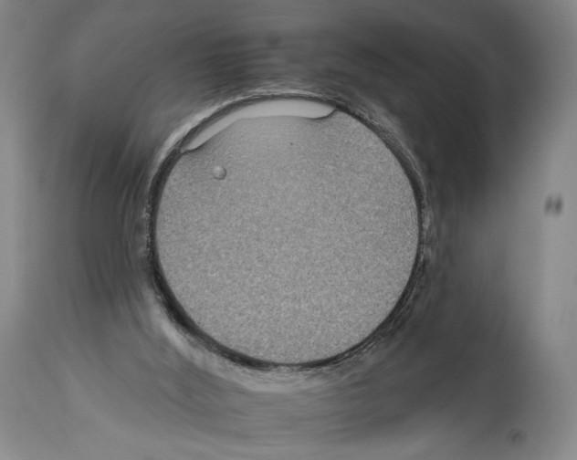 X0000112930012200910051142