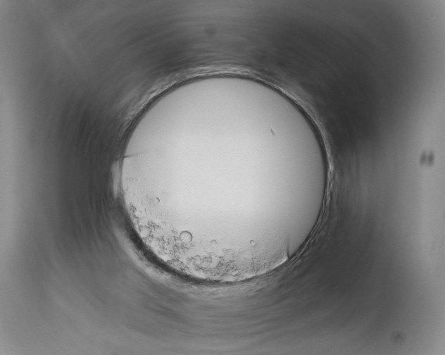 X0000112930013200910051142