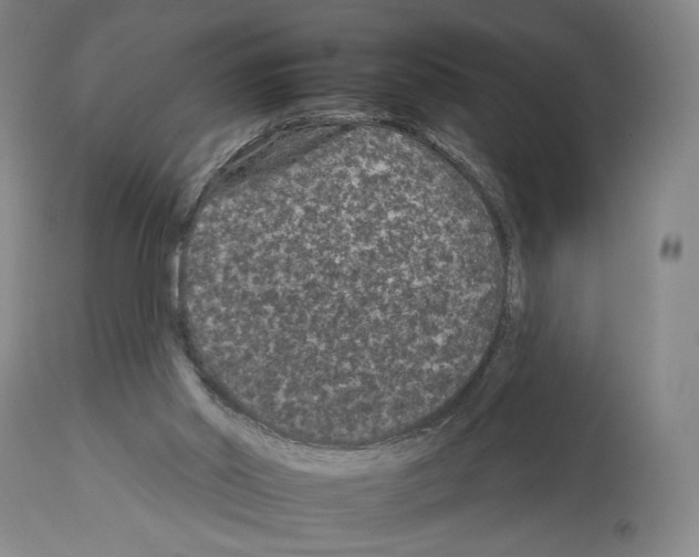 X0000112930014200910051142