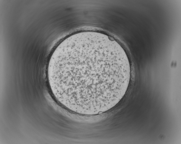 X0000112930015200910051142