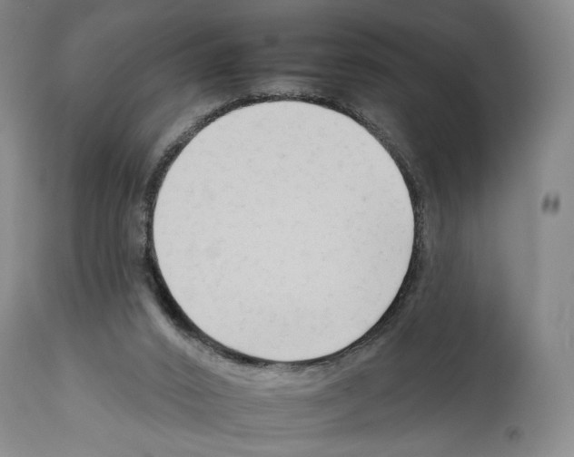 X0000112930016200910051142