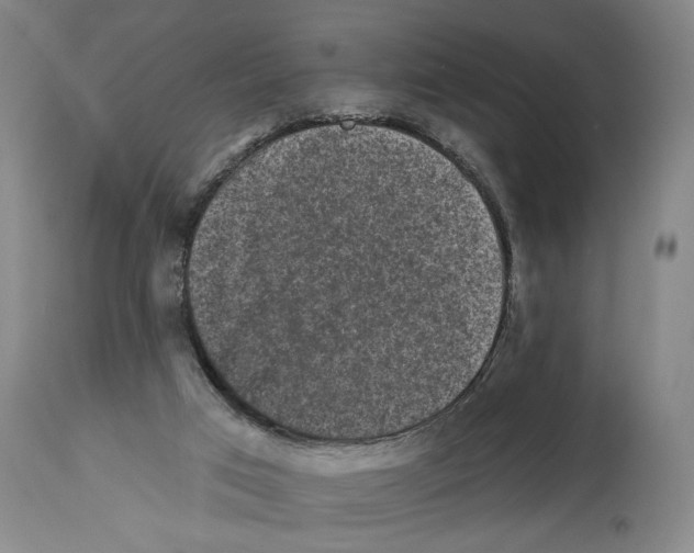 X0000112930017200910051142