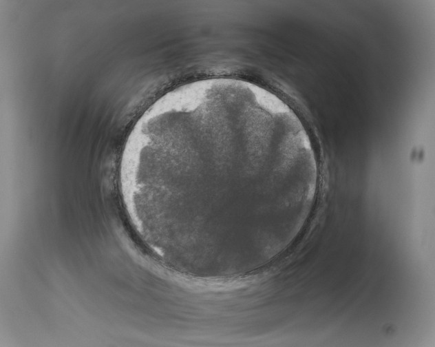 X0000112930018200910051142