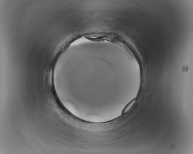 X0000112930019200910051142