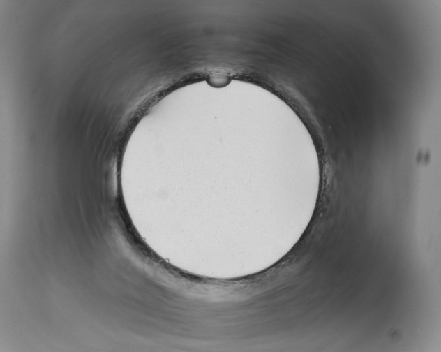X0000112930020200910051142