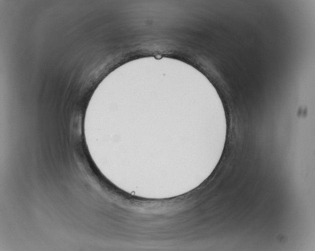 X0000112930021200910051142