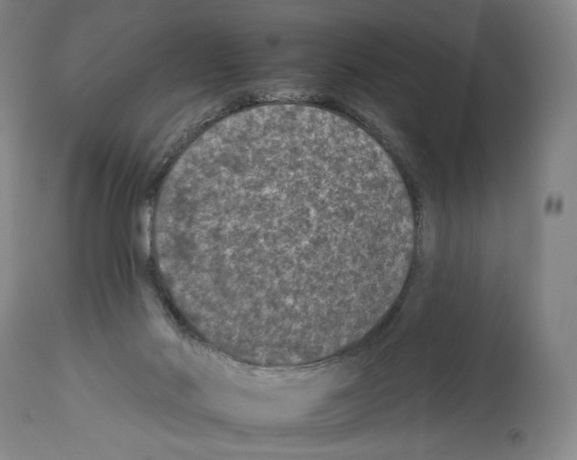 X0000112930022200910051142