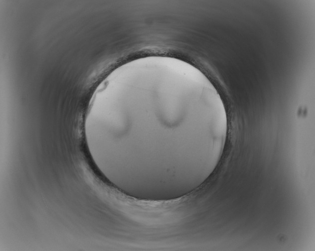 X0000112930023200910051142
