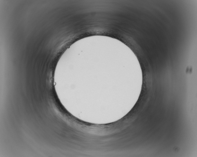 X0000112930024200910051142