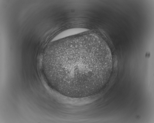 X0000112930026200910051142