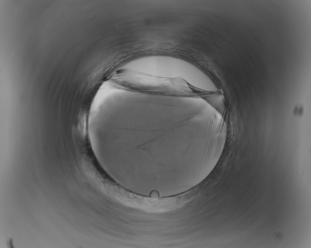 X0000112930027200910051142