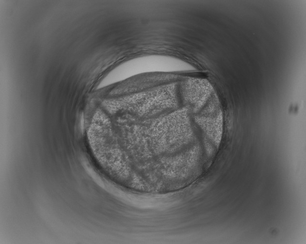 X0000112930028200910051142