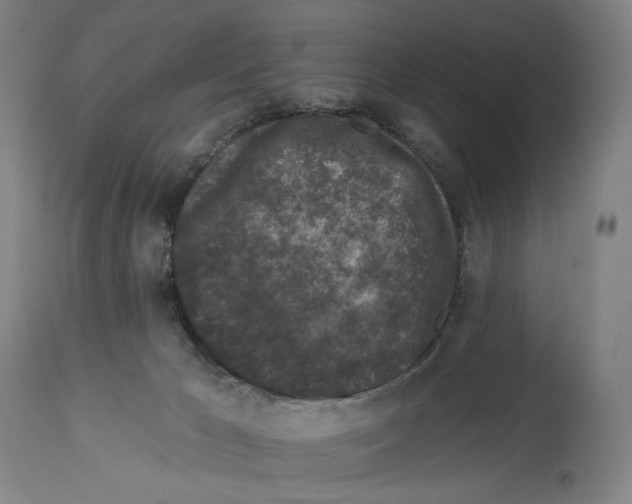X0000112930029200910051142