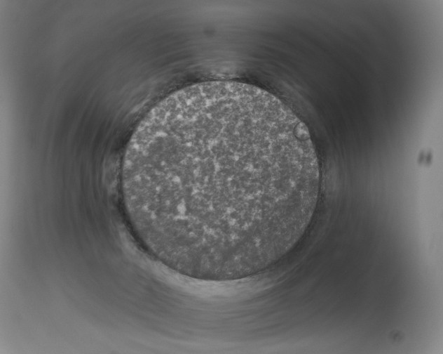 X0000112930030200910051142
