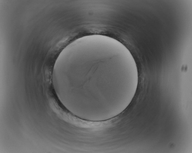 X0000112930031200910051142