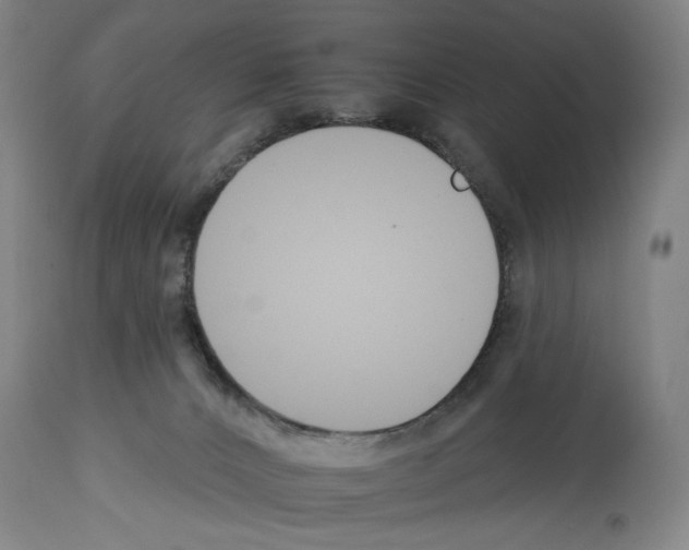 X0000112930032200910051142