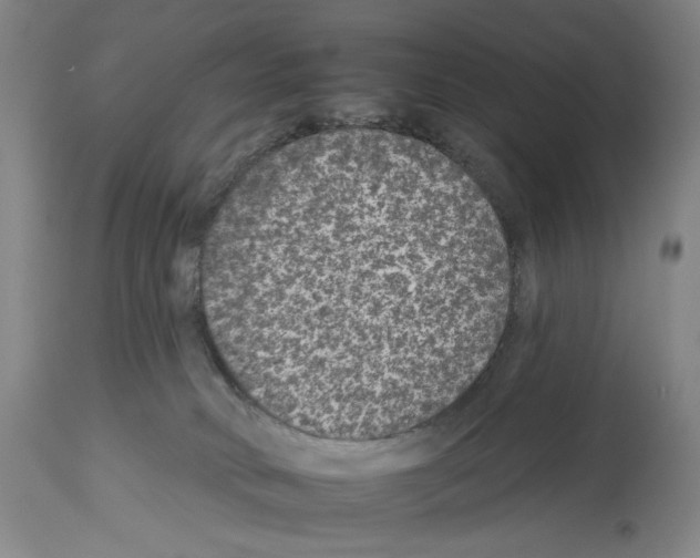 X0000112930034200910051142