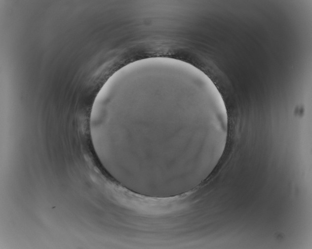 X0000112930035200910051142