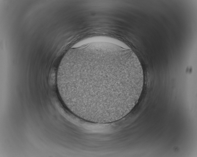 X0000112930036200910051142