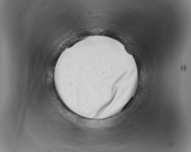 X0000112930037200910051142