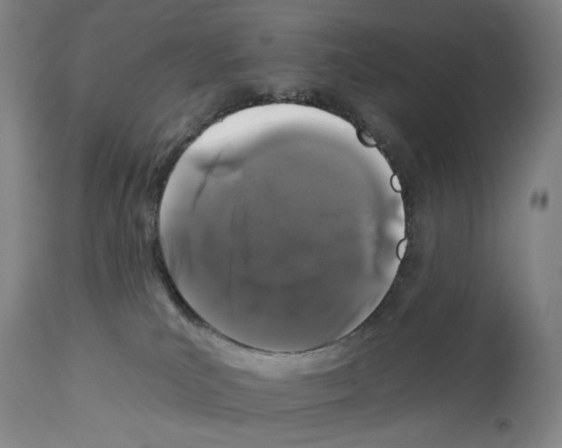 X0000112930039200910051142