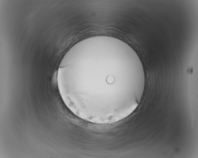 X0000112930041200910051142