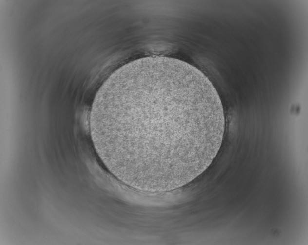 X0000112930042200910051142