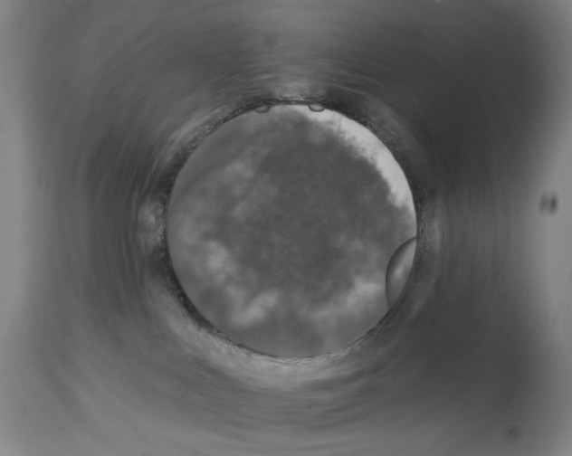 X0000112930043200910051142