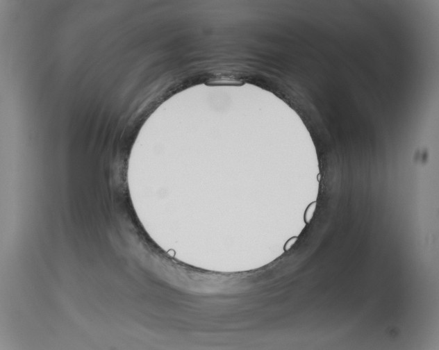 X0000112930044200910051142