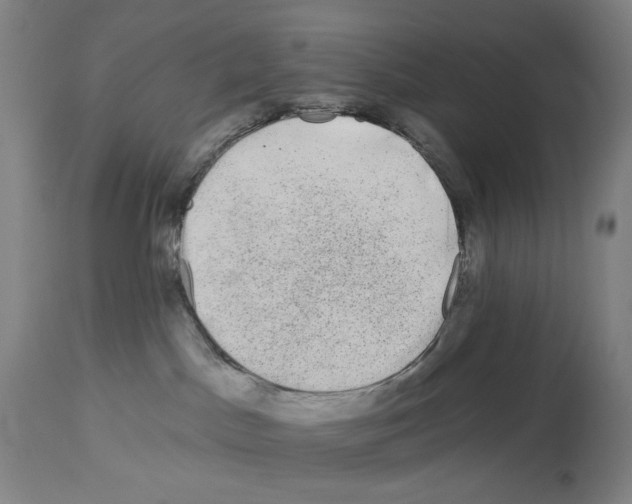 X0000112930045200910051142