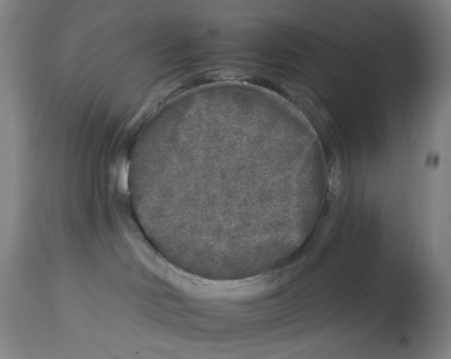 X0000112930046200910051142