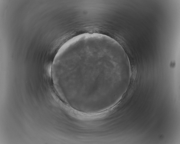 X0000112930047200910051142