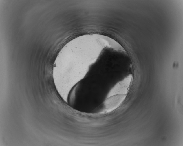 X0000112930048200910051142