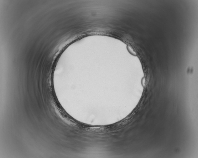 X0000112930050200910051141
