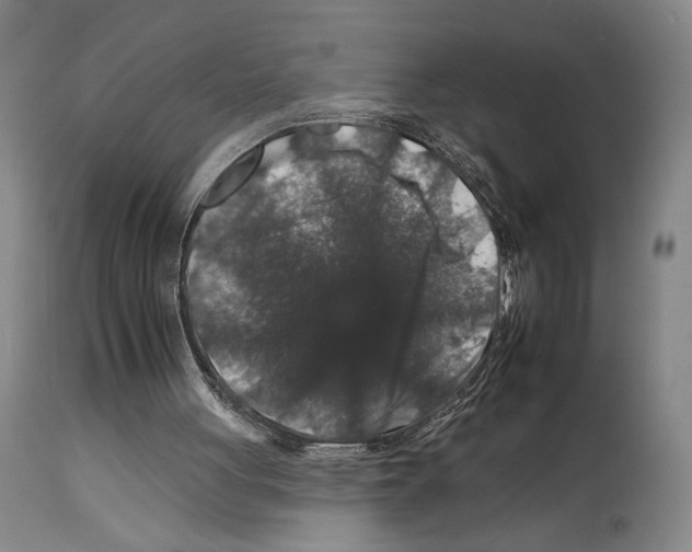 X0000112930051200910051141