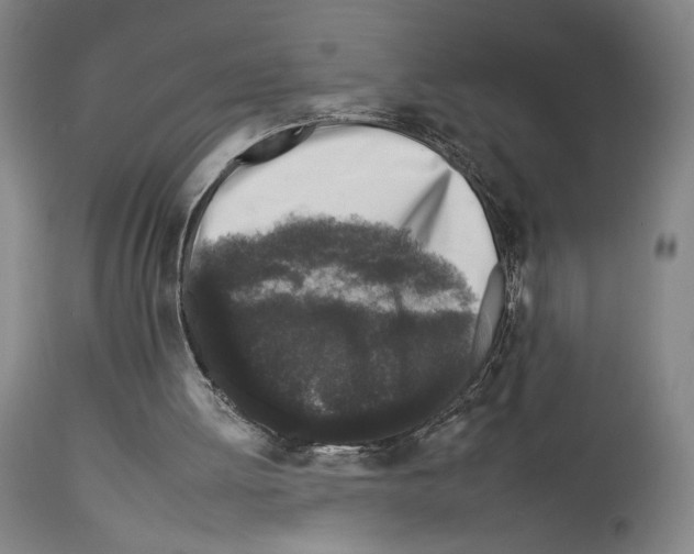 X0000112930052200910051141