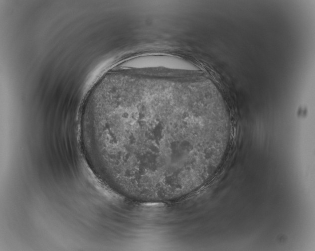 X0000112930053200910051141