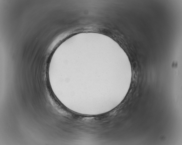 X0000112930054200910051141