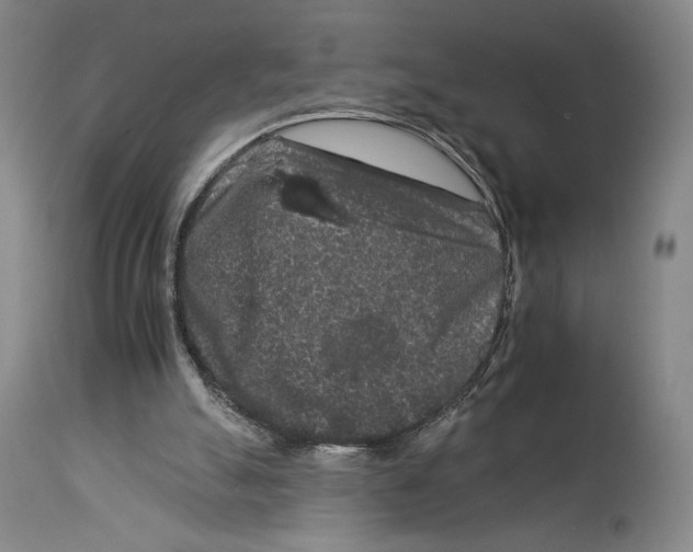 X0000112930055200910051141