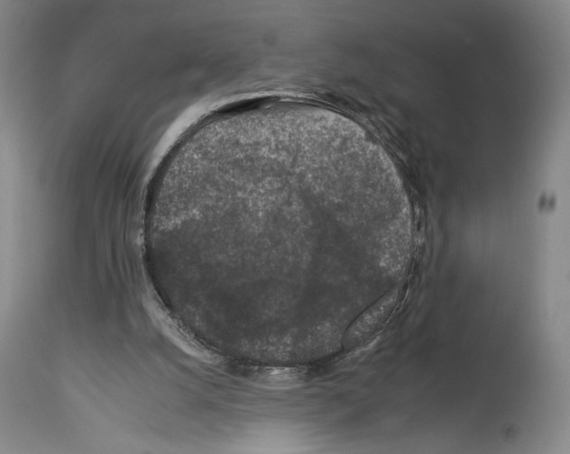X0000112930056200910051141
