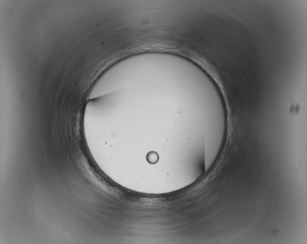 X0000112930057200910051141