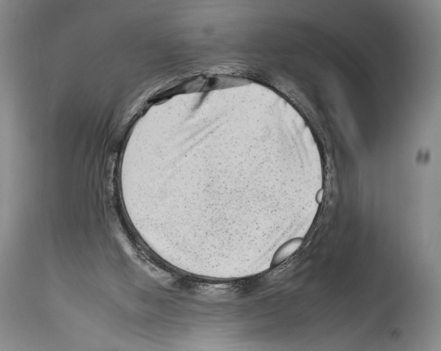 X0000112930058200910051141