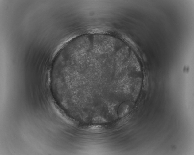X0000112930059200910051141