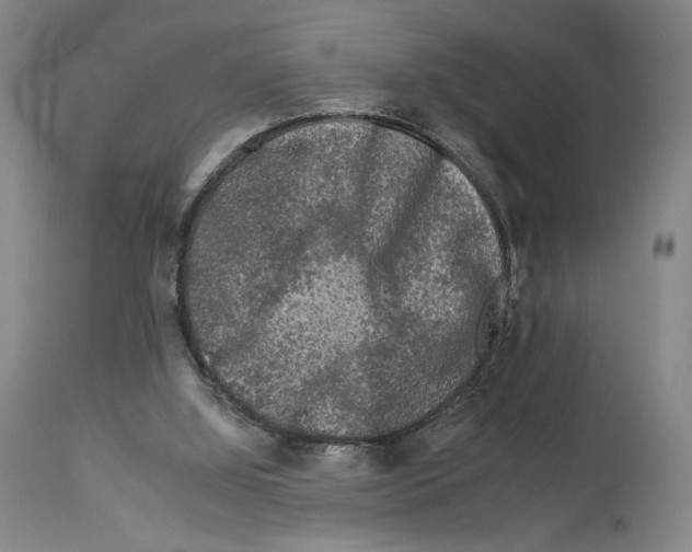 X0000112930060200910051141