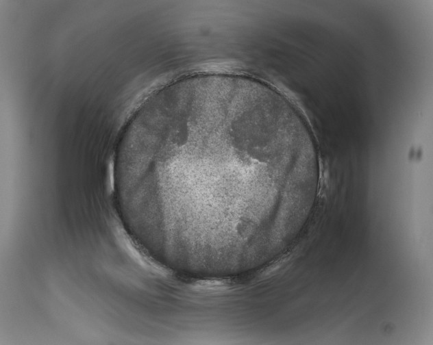 X0000112930061200910051141