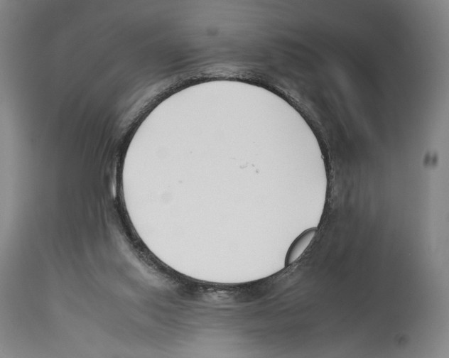 X0000112930062200910051141