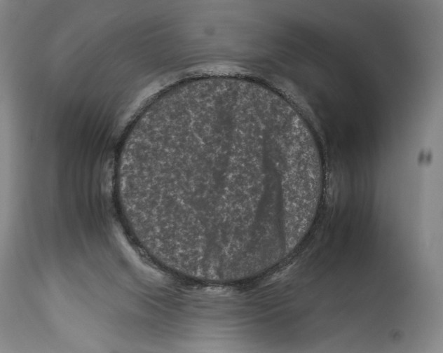 X0000112930063200910051141
