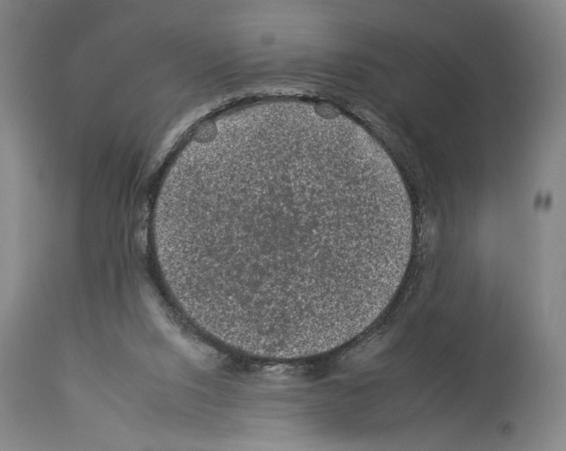 X0000112930064200910051141