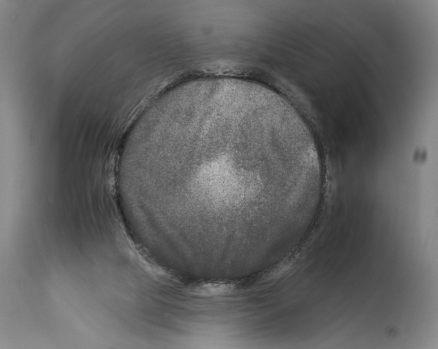 X0000112930065200910051141